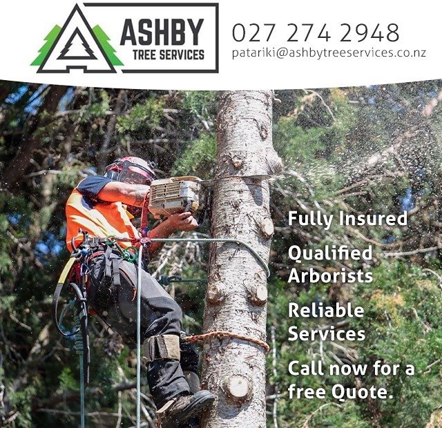 Ashby Tree Service - Selwyn School